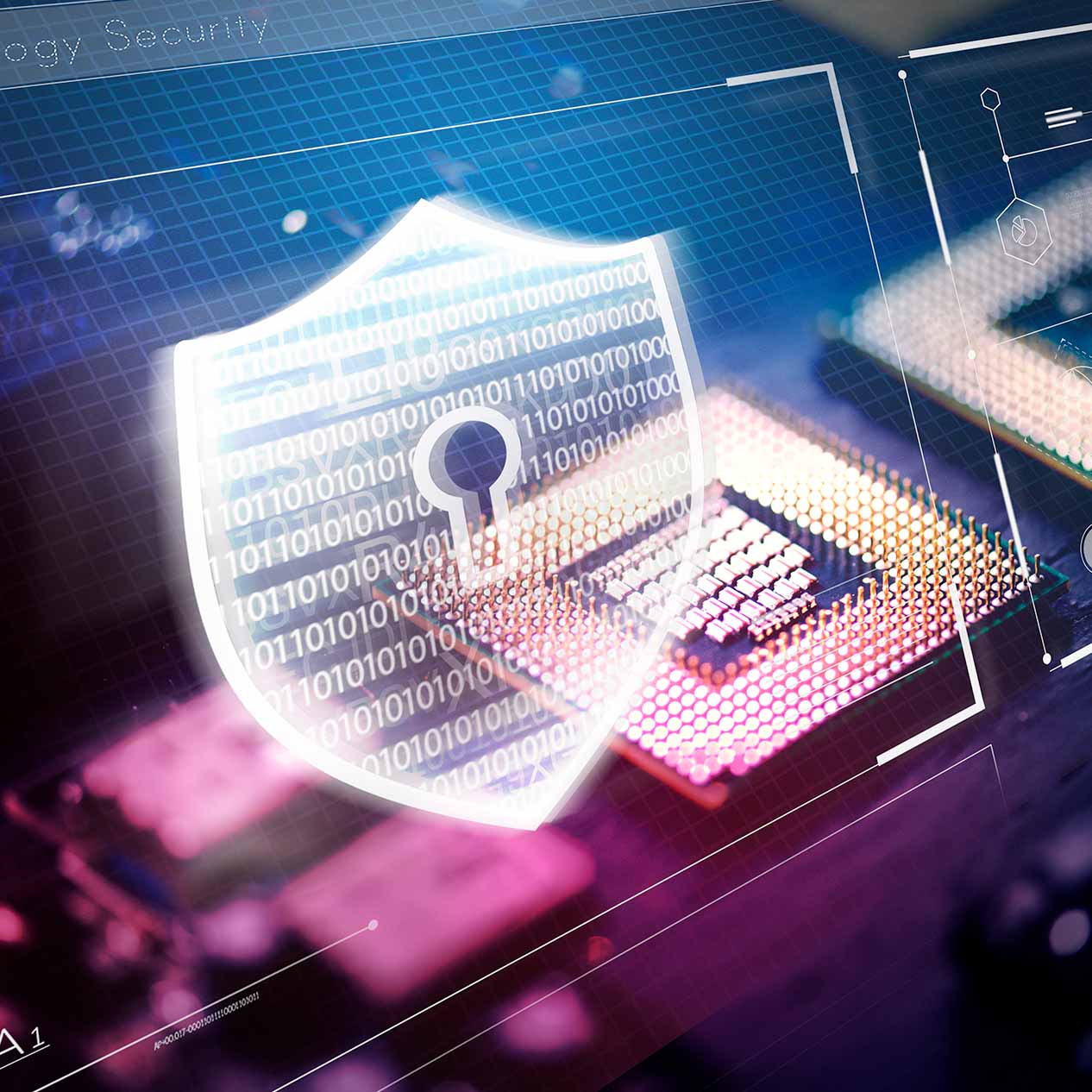 Listed Equities 1.jpg